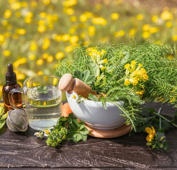 Naturopathie : mode d’emploi et bienfaits pour notre santé